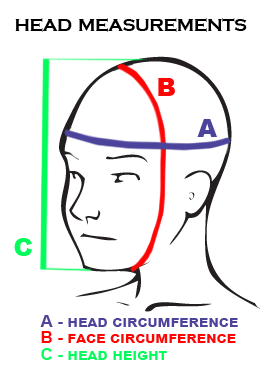 head measurement diagram